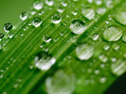 Nervous System Reset: Lower Cortisol With Breathwork