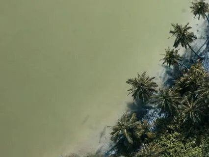 Nervous System Reset Meditation