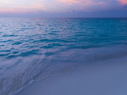 Nervous System Reset Meditation