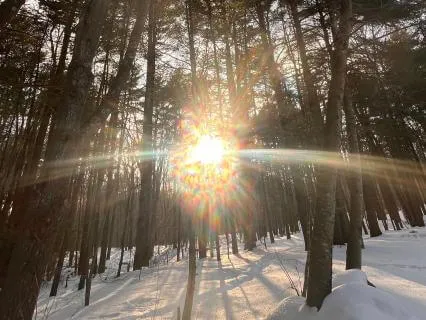 Nervous System Reset When You Feel Overwhelmed