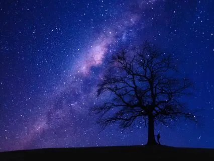 Nervous System Reset With 369 Hz Tuning Fork + Delta Waves