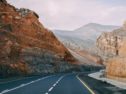 Nervous System Reset