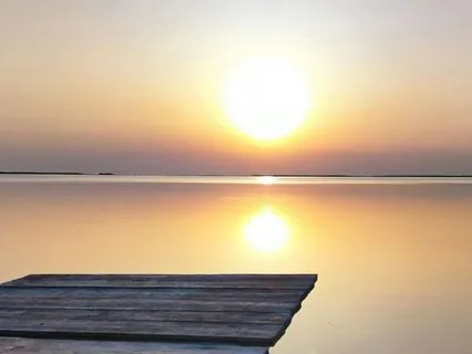 Nervous System Reset