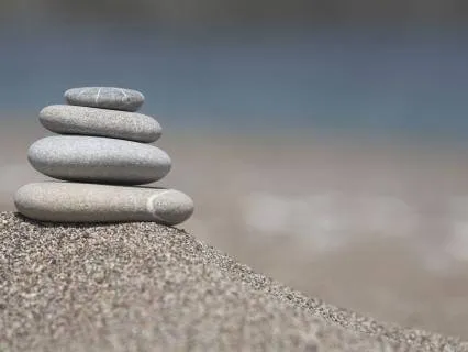 Nervous System Reset