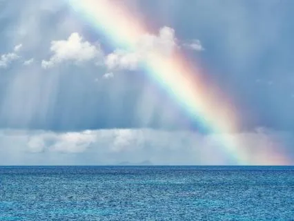 Nervous System Reset