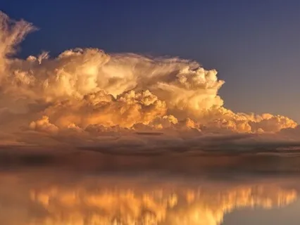 Nervous System Reset