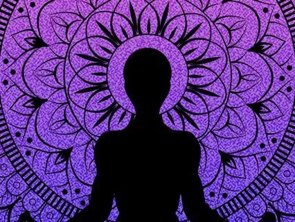 Nervous System Reset