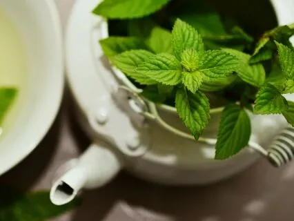 Nervous System Reset: 4-Round Dynamic Breathwork Flow