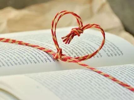 Nervous System Snack: The Book Of Ventral