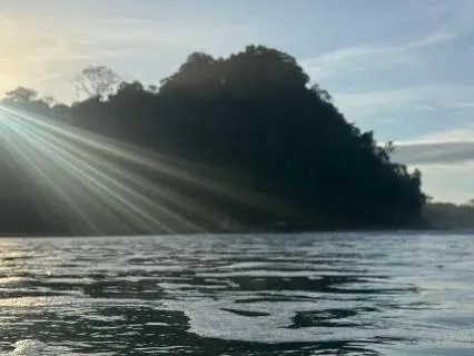 Nervous System Sooth (A Down Regulation Meditation)