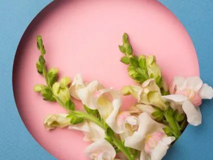 Nervous System Support & Regulation | You Are Safe To Let Go