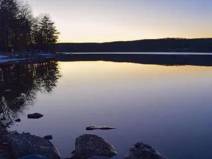 Nervous System - Wired To Survive, Designed To Rest