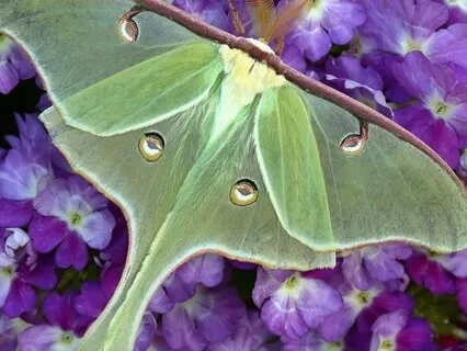 Nervous System Working With Sensations