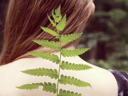 Nervous Systems Meditation