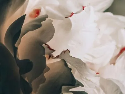 Neural Harmony Attunement: Binaural Beats - Alpha Waves