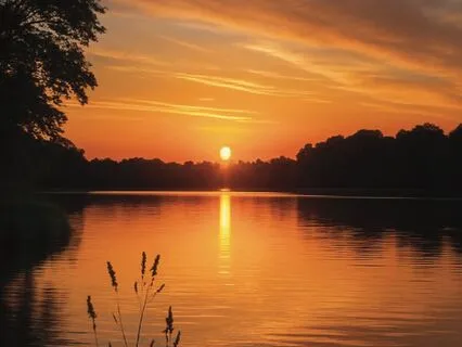 Neural Rain —Evening Wind-Down