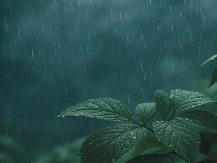 Neural Rain — Focus for the ADHD Mind