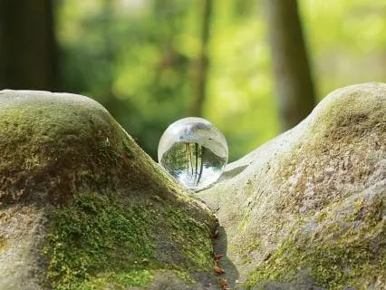 Neuro-Somatic Toolkit | RSD Reset: Weathering The Storm