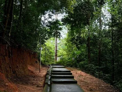 Neuro-Therapy: Spatial Sound for Less Cortisol (Alpha Waves)