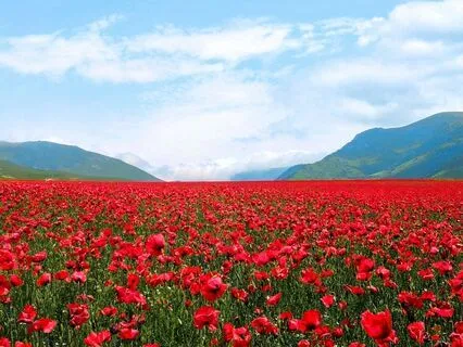 Neuroaffirming IFS - Meet Your System