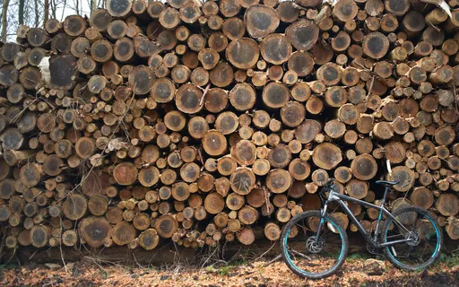 Neurodivergent Sleep - Brown