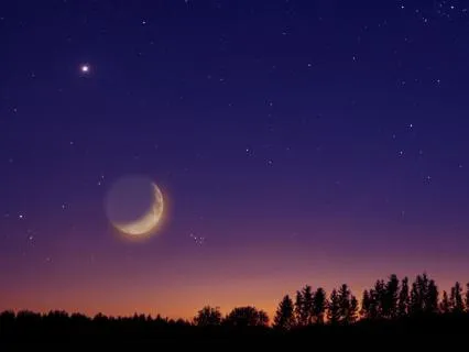 Neurological Nocturne No 1 | The Master Student