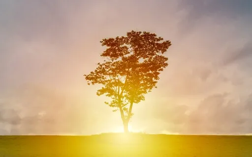 NeuroMeditation Mindful Concentration (Long Version)