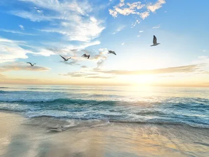 NeuroMeditation Open Focus - Quiet Mind