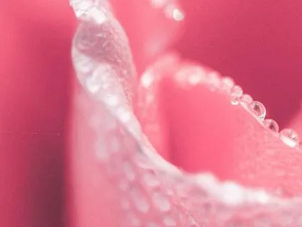 Neuroplastic Symptoms: Somatic Tracking, Become The Observer