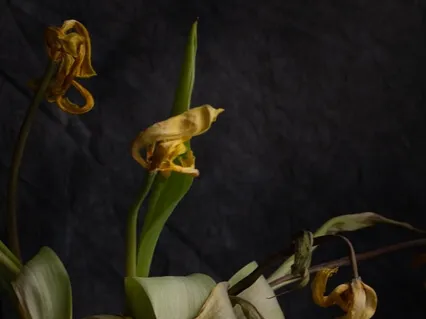 Neutral Affirmations For Acceptance - Depression & Acceptance