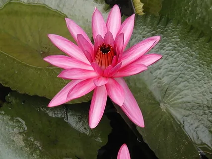 Never Delay Your Realization