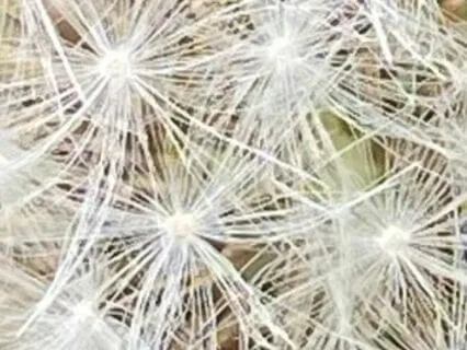 Christian Devotional: Never Doubt Your Importance