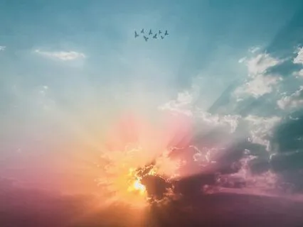 Never Fear the Morning