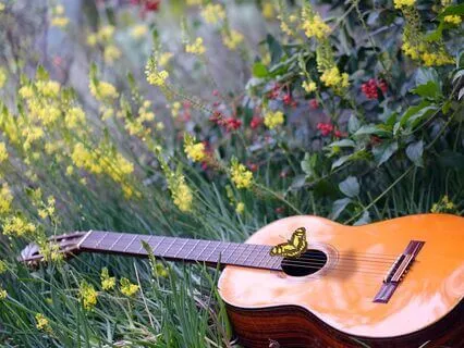 Never Gone Away | Song Medley