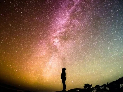 Never Too Late To Fly