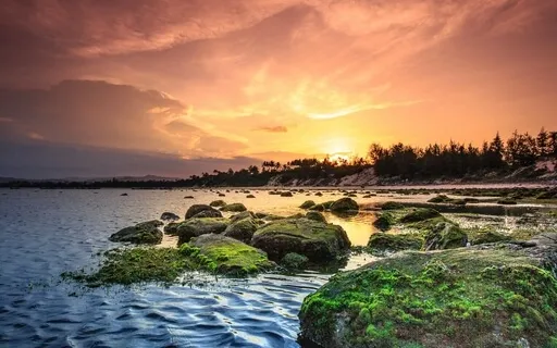 Neverland Meditation Music