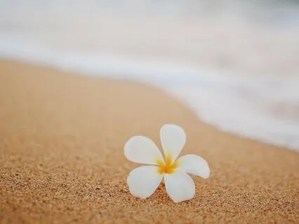 5.5 Breaths/Minute (15 Minutes)