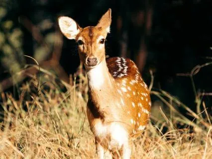 New, awkward and free