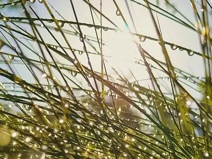 New Beginning - A 432Hz Meditation For Renewal