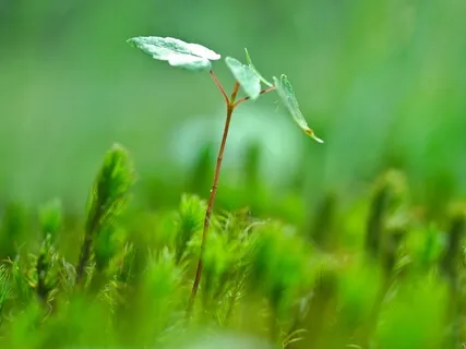 New Beginnings (1 Hour Extended Version)