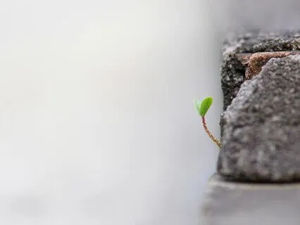 New Beginnings - A Meditation For A Fresh Start And New Year