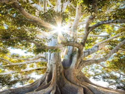 New Beginnings And Endings- 3 Lessons From The Tao Te Ching