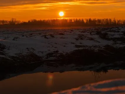 New Beginnings - Cellular Energy Clearing