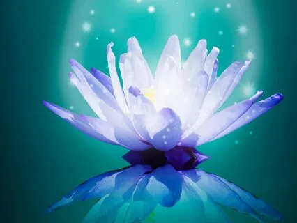 New Beginnings - Connecting To 1:1 Portal Energy With Merlin