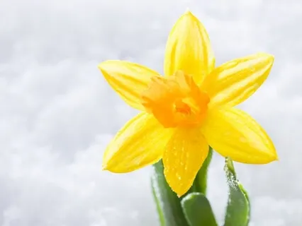 New Beginnings Meditation