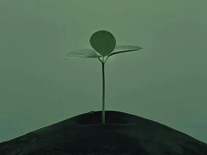 New Beginnings Nidra