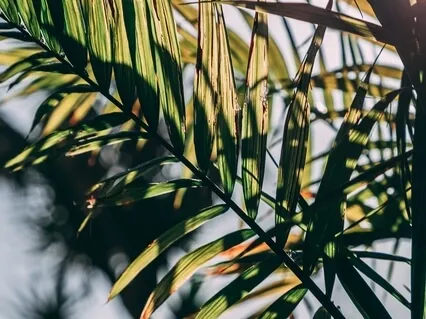 New Beginnings Of Each & Every Moment Of Each & Every Day