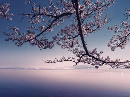 New Beginnings – Piano Music