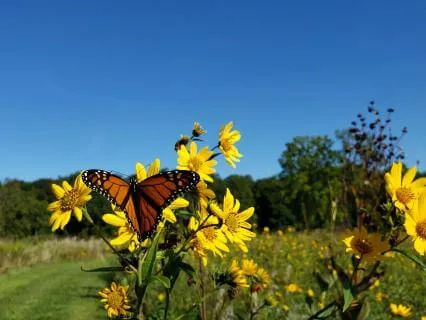 New Beginnings Prayer