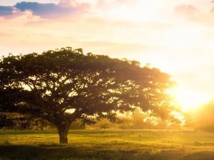 New Beginnings Prayer